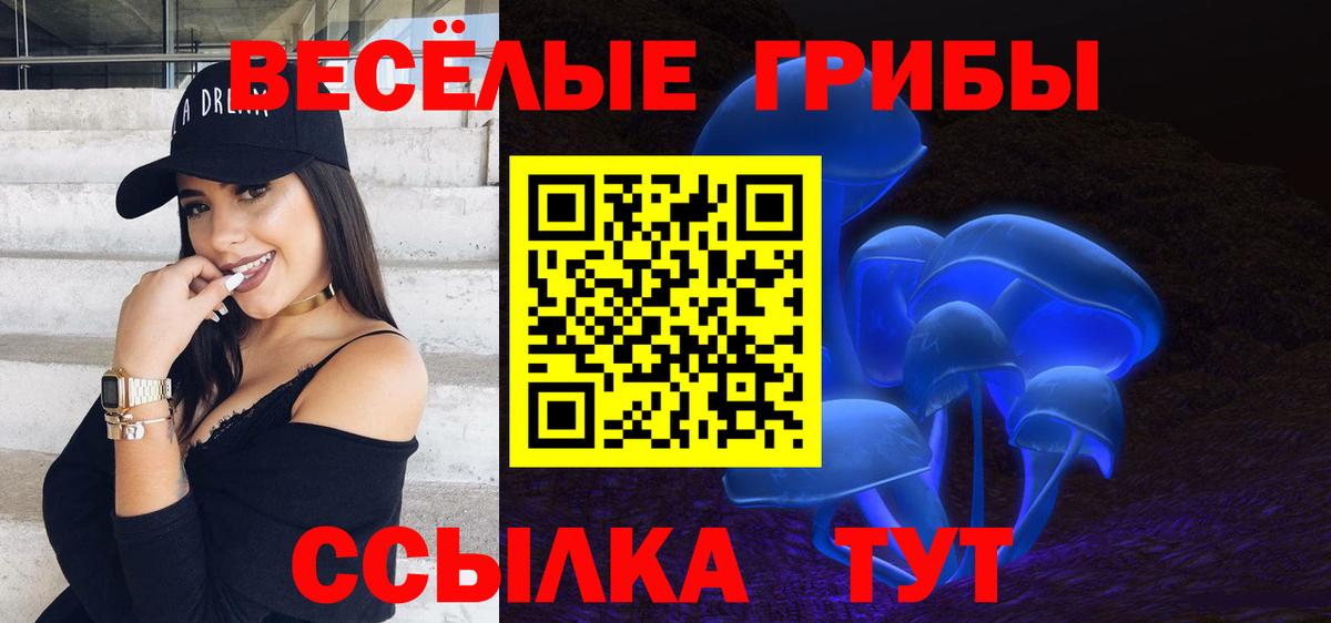 Галлюциногенные грибы Psilocybe Ревда
