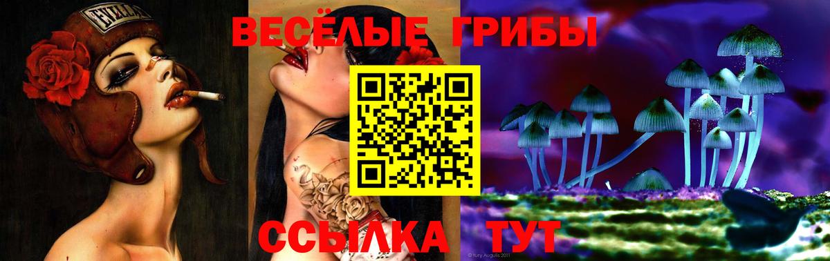 Галлюциногенные грибы Cubensis  Вход с VPN  Галлюциногенные грибы MAGIC MUSHROOMS  Ревда 
